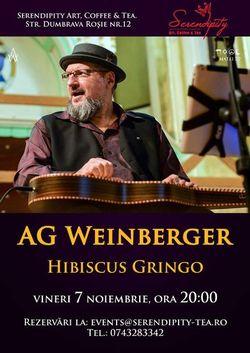 poze concert a g weinberger la ceainaria serendipity