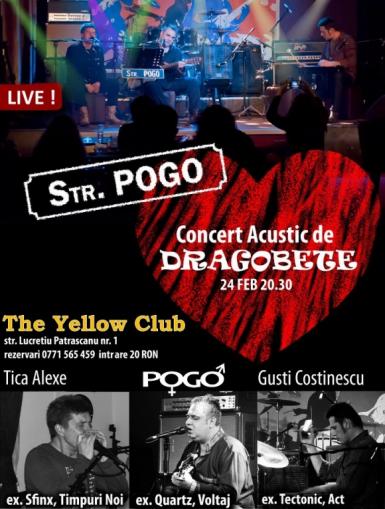 poze concert acustic de dragobete in yellow club