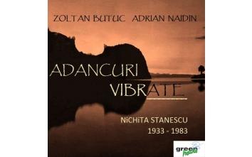 poze concert adrian naidin zoltan butuc in green hours 2