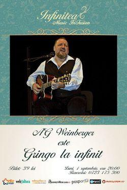 poze concert ag weinberger in ceainaria infinitea