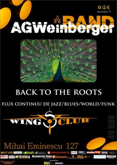 poze concert ag weinberger in wings club