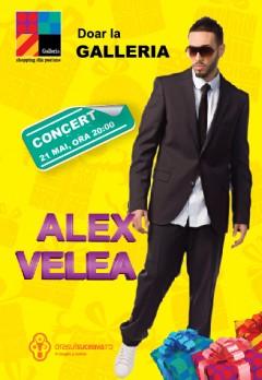 poze concert alex velea