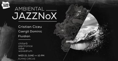 poze concert ambiental jazznox flying circus