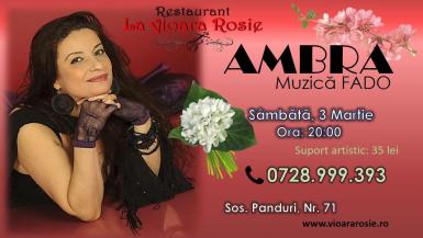 poze concert ambra