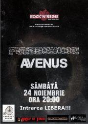 poze concert avenus si pseudonoise in rock n regie