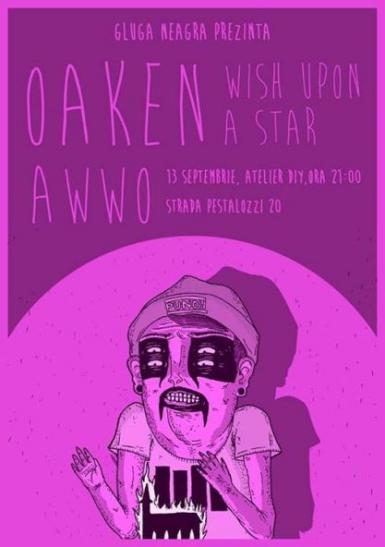 poze concert awwo wish upon a star si oaken in timisoara