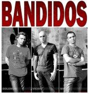 poze concert bandidos sanpetru