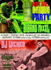 poze concert bibanu mixxl si dj wicked