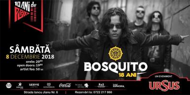 poze concert bosquito 18 ani 