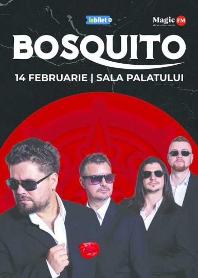 poze concert bosquito de valentine s day 