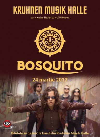 poze concert bosquito