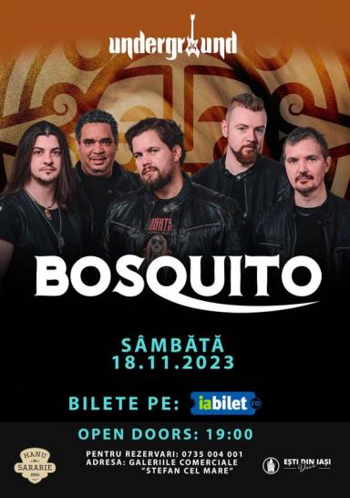 poze concert bosquito ia i