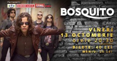 poze concert bosquito la oradea