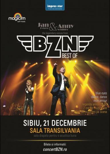 poze concert bzn