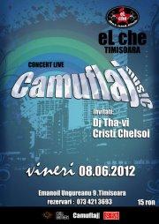 poze concert camuflaj in timisoara