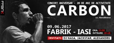 poze concert carbon 20 ani de activitate 