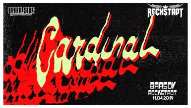 poze concert cardinal