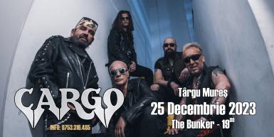 poze concert cargo