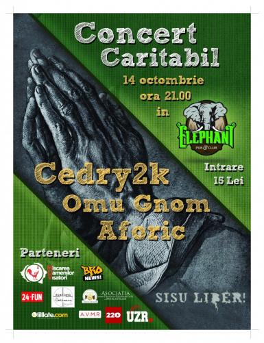 poze concert caritabil in elephant pub