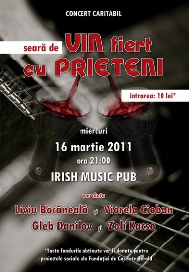 poze concert caritabil in irish music pub