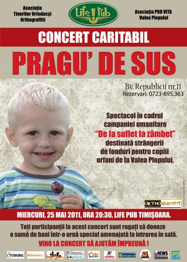 poze concert caritabil pragu de sus