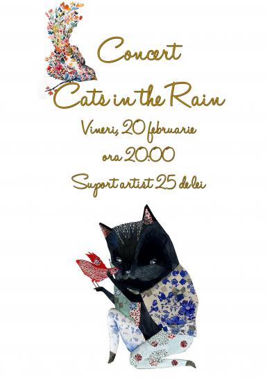 poze concert cats in the rain