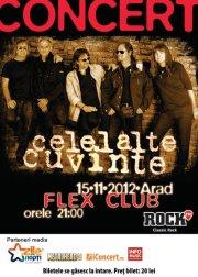 poze concert celelalte cuvinte in arad