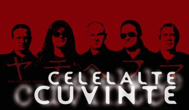 poze concert celelalte cuvinte in timisoara