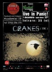 poze concert cranes in panic club