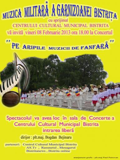 poze concert de muzica de fanfara