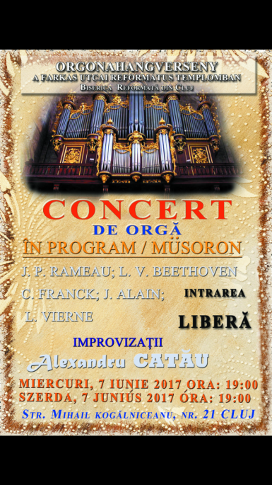 poze concert de orga