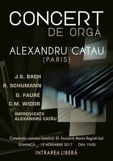 poze concert de orga