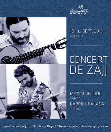 poze concert de zajj