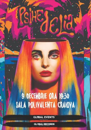 poze concert delia