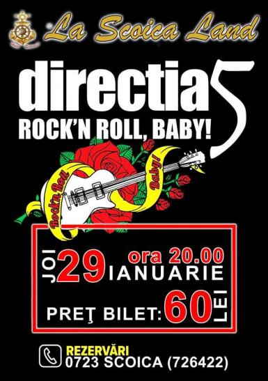 poze concert directia 5 la constanta in 2015