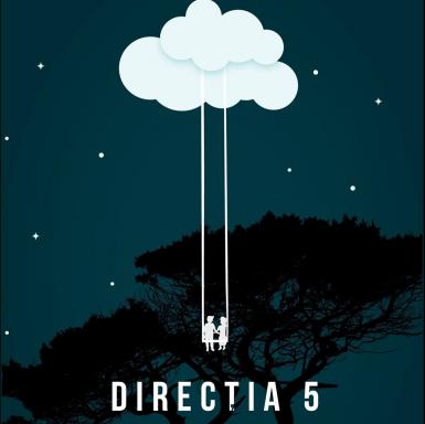 poze concert directia 5 