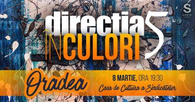 poze concert directia 5