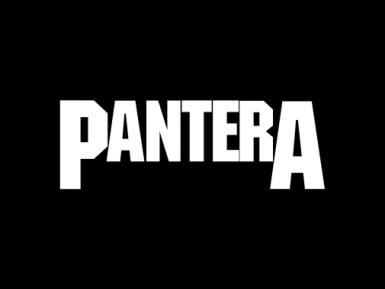poze concert domination pantera tribute in fabrica