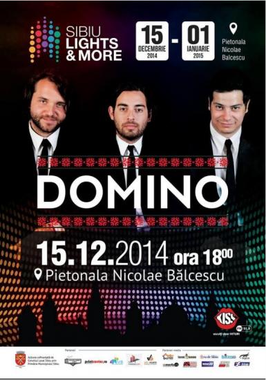 poze concert domino