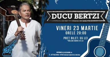 poze concert ducu bertzi