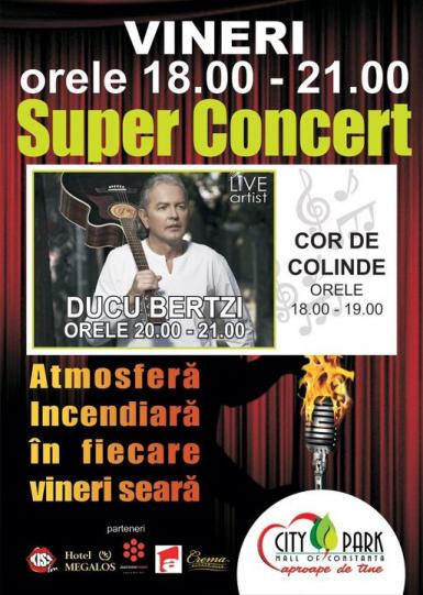 poze concert ducu bertzi