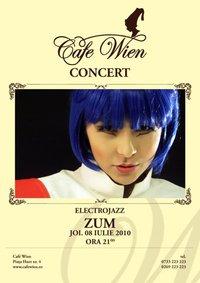 poze concert electro jazz zum
