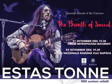 poze concert estas tonne