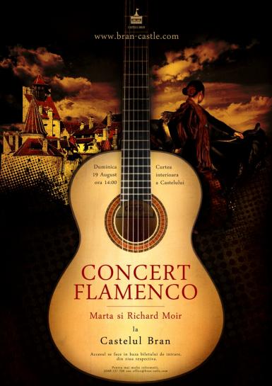 poze concert flamenco