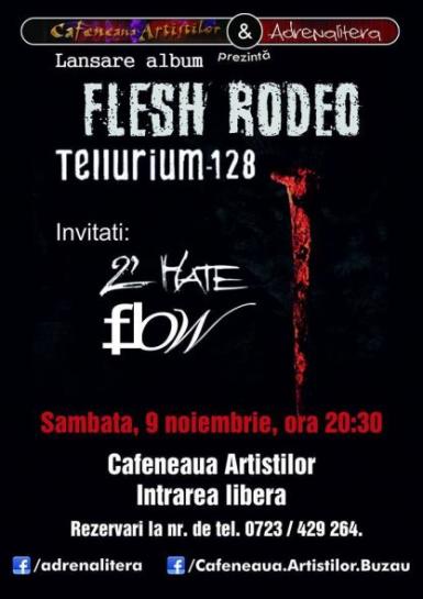 poze concert flesh rodeo in buzau