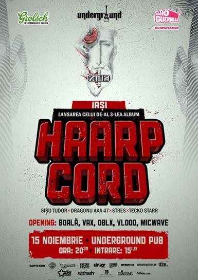 poze concert haarp cord la iasi