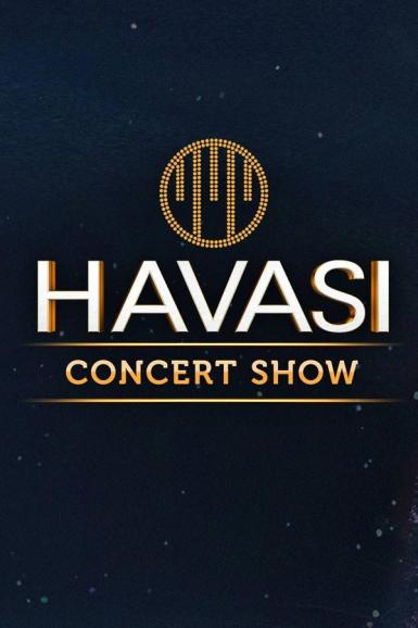 poze concert havasi