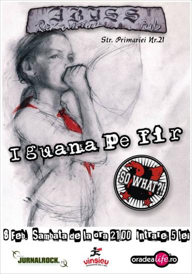 poze concert iguana pe fir