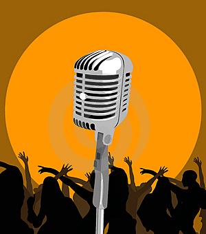 poze concert insult deva