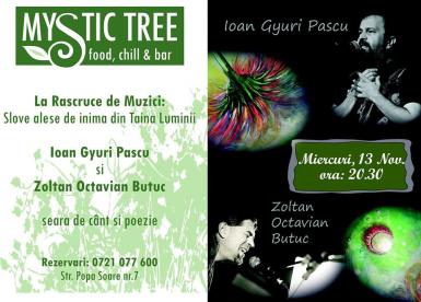 poze concert ioan gyuri pascu si zoltan octavian butuc in mystic tree